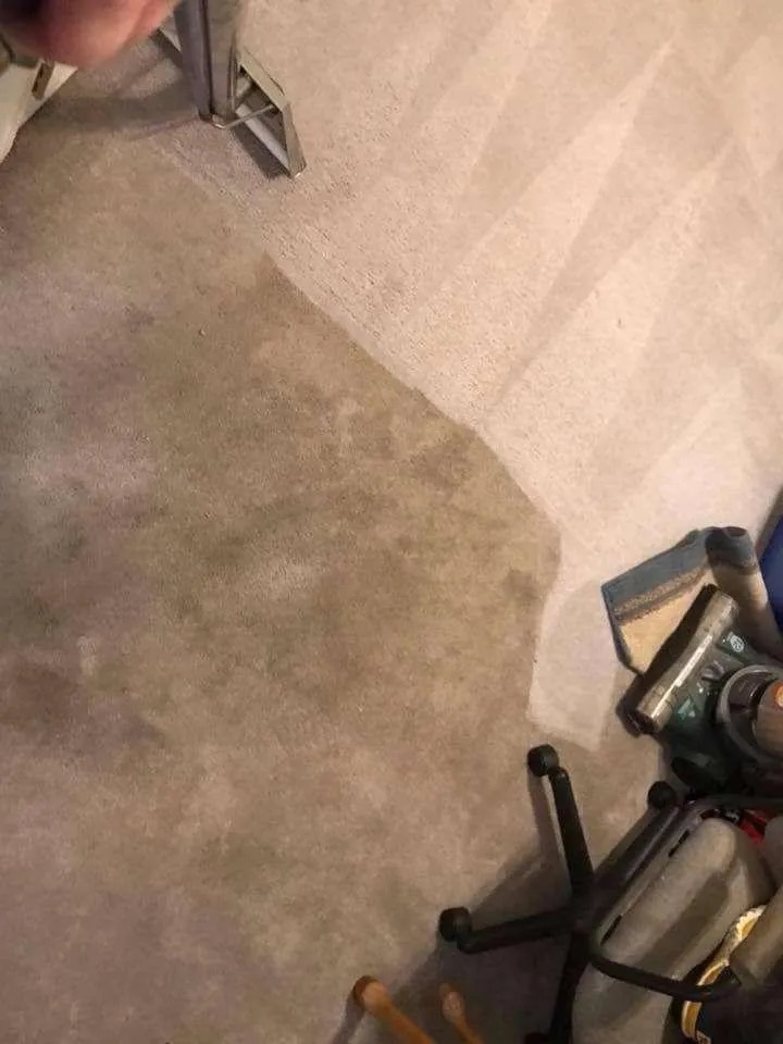 Carpet halfway through cleaning, dirty side and clean side visible