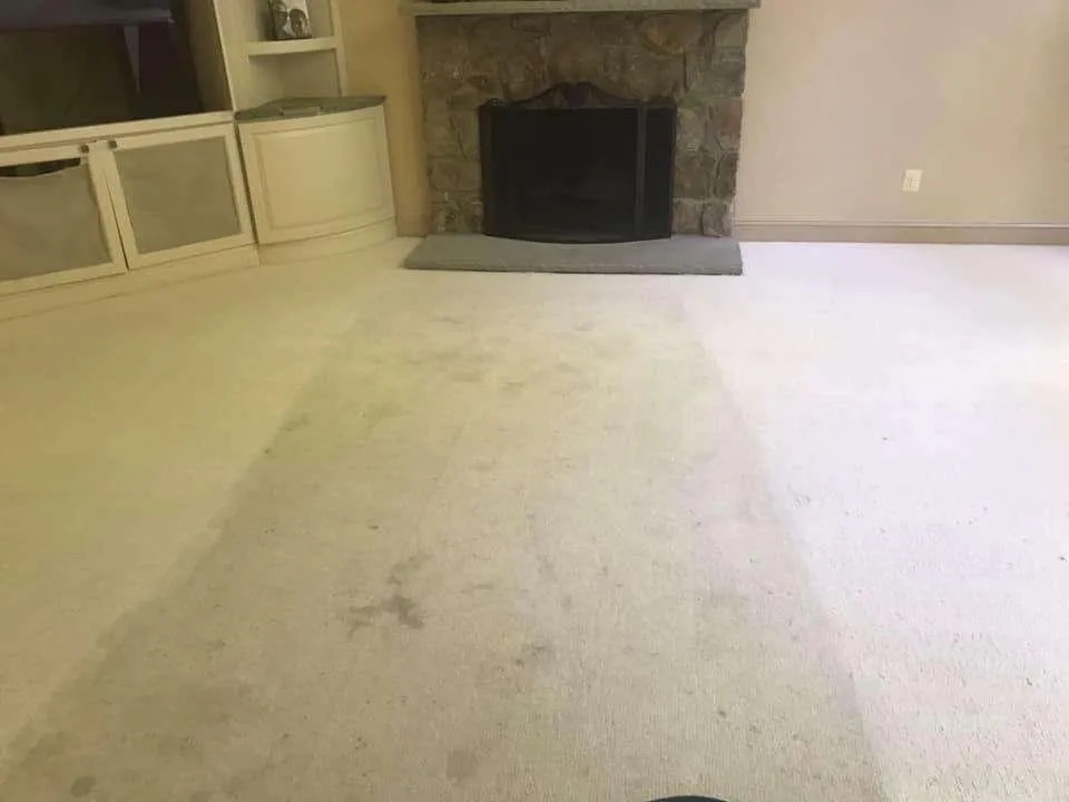 Living room carpet with a dramatic clean-side difference