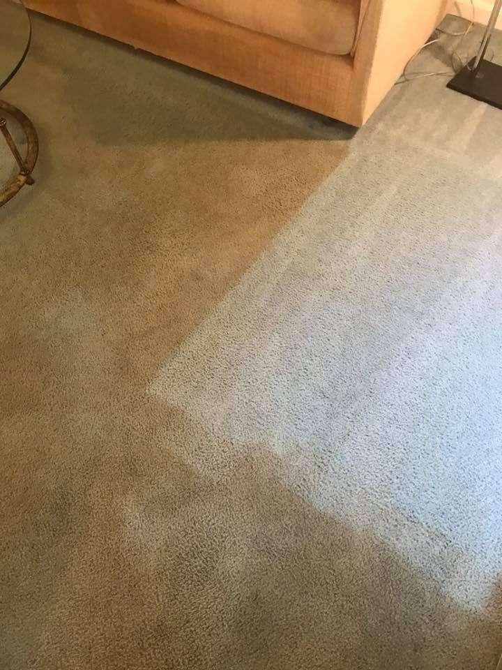Upholstery and carpet cleaned beside a sofa