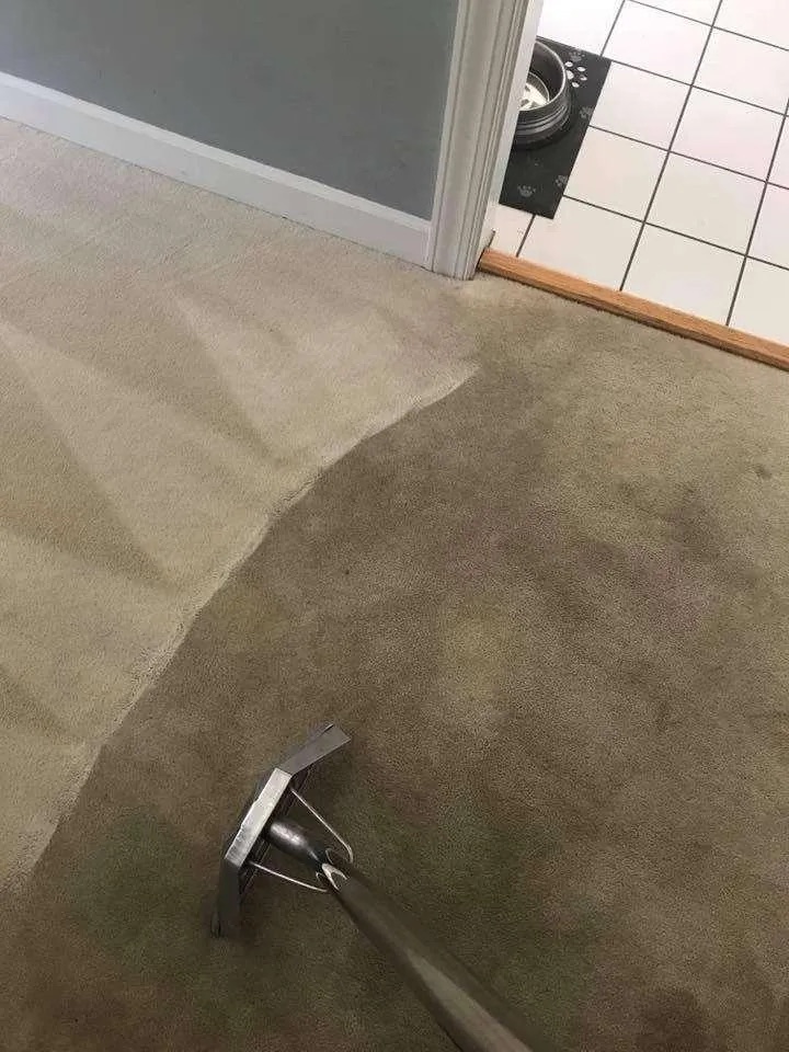Cleaning wand working carpet beside a tile floor